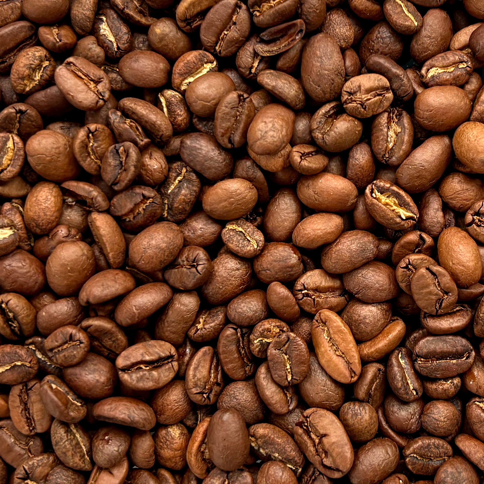 MUGZ Light-Medium Roast