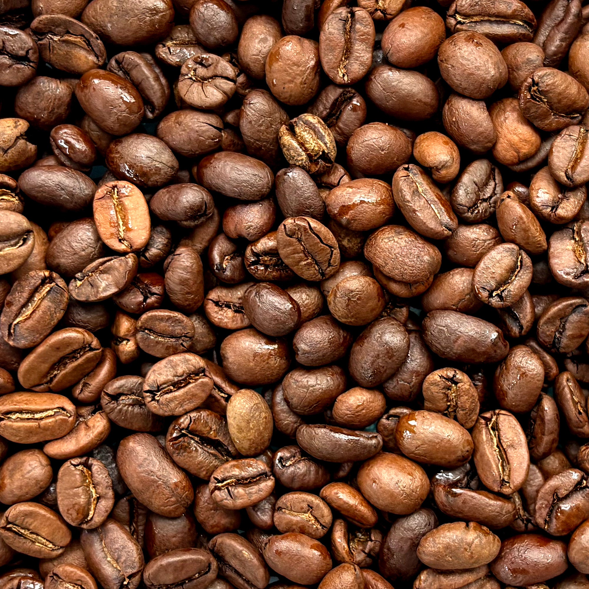 MUGZ Medium-Dark Roast