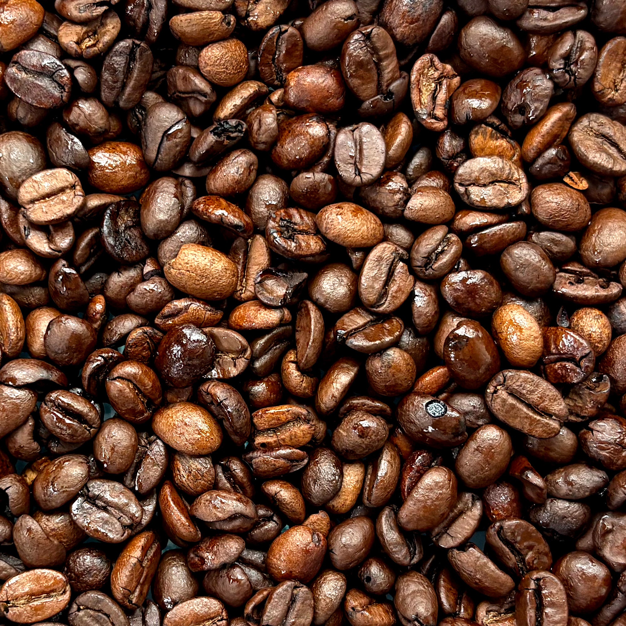 MUGZ Ultra-Dark Roast